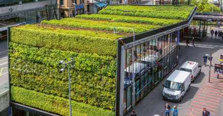 « De multiples moyens pour favoriser la biodiversité urbaine » // www.revuehemispheres.com