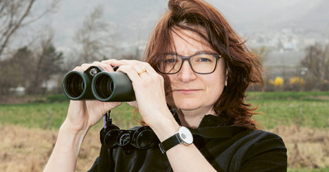 Chacun Ses Priorités Dans La Vie