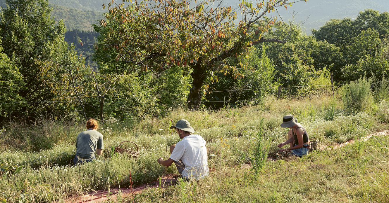 Vers un tourisme qui soigne les territoires et les liens humains